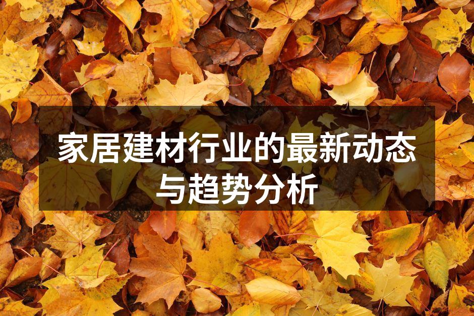 家居建材行业的最新动态与趋势分析