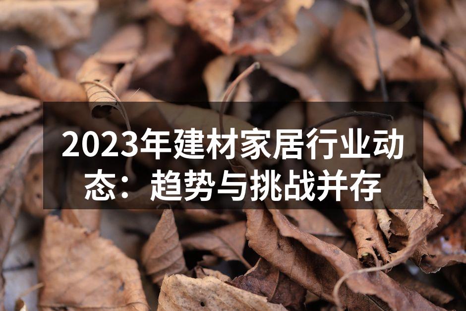 2023年建材家居行业动态：趋势与挑战并存